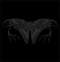 Funeral Moth(Jpn) - s/t - CD with gatefold booklet